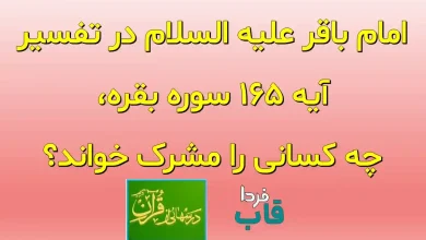امام باقر علیه السلام در تفسیر آیه ۱۶۵ سوره بقره، چه کسانی را مشرک خواند؟