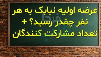 عرضه اولیه نبابک به هر نفر چقدر رسید؟ + تعداد مشارکت کنندگان عرضه اولیه نبابک به هر نفر چقدر رسید؟ + تعداد مشارکت کنندگان