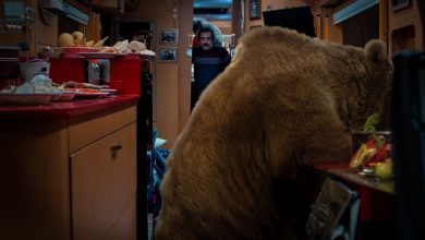 سکانس خرس در پایتخت 7 را تماشا کنید