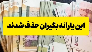 این یارانه بگیران حذف شدند