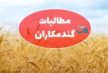 آخرین خبر از پرداخت مطالبات گندمکاران (مهر 1405) مطالبات گندمکاران