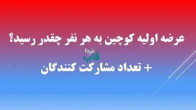 عرضه اولیه کوچین به هر نفر چقدر رسید؟ + تعداد مشارکت کنندگان