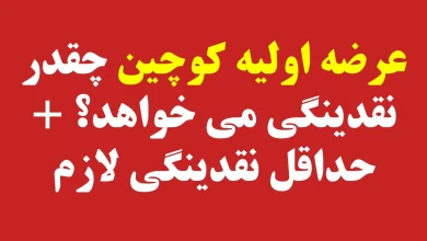 عرضه اولیه کوچین چقدر نقدینگی می خواهد؟ + حداقل نقدینگی لازم عرضه اولیه کوچین چقدر نقدینگی می خواهد؟ + حداقل نقدینگی لازم