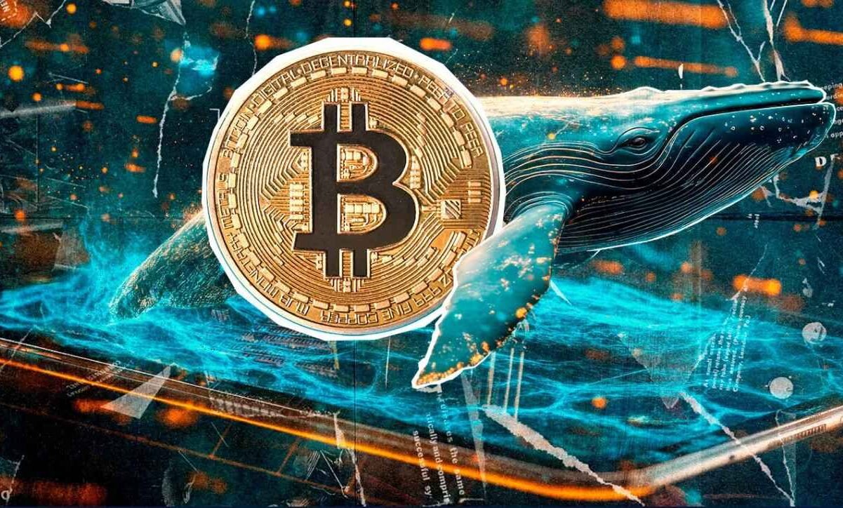 بیتکوین در انتظار ریزش بیشتر ! بیتکوین در انتظار ریزش بیشتر !