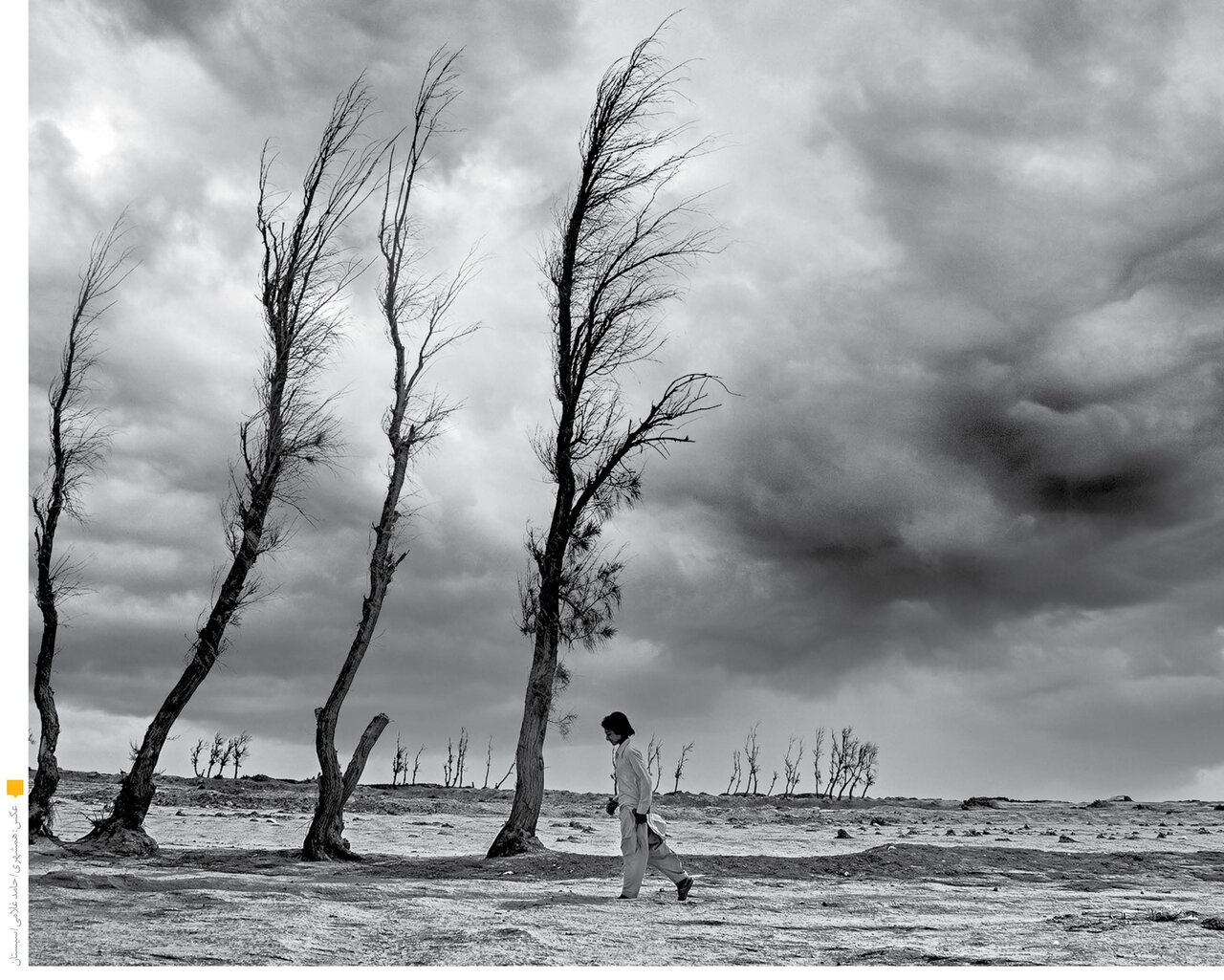 بودجه محیطزیست بازهم آب رفت | تورم و انباشت بحران ها بودجه را می بلعد بودجه محیطزیست بازهم آب رفت | تورم و انباشت بحران ها بودجه را می بلعد