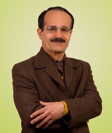 اگر یک جسم خارجی وارد گوش شد، چه کنیم؟ | اگر مورچه و سوسک داخل گوش‌تان رفت، این کار را نکنید