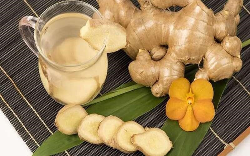 زنجبیل یا نعناع؛ کدام یک برای رفع حالت تهوع بهتر است؟