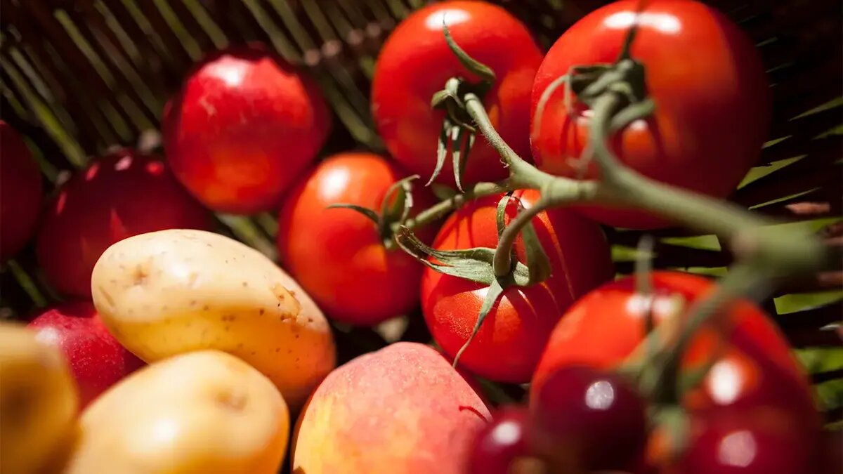 اگر دهان و دندان سالمی می خواهید؛ این گیاه قرمز را زیاد بخورید