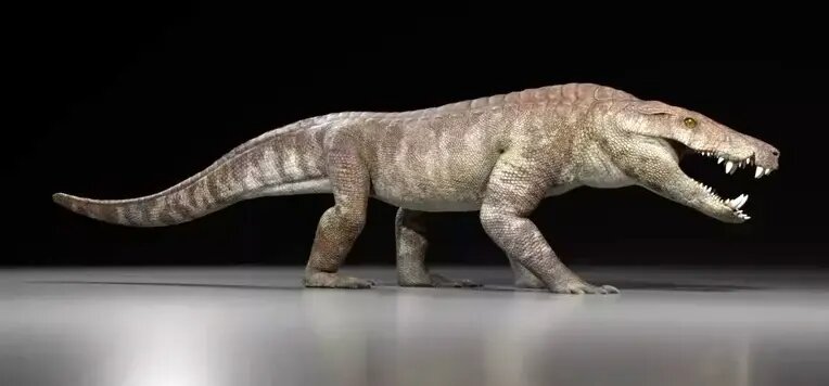 بیرون آمدن هیولای ۷۰ میلیون ساله از دل سنگ | عکس بیرون آمدن هیولای ۷۰ میلیون ساله از دل سنگ | عکس