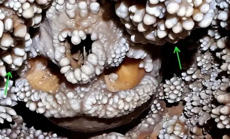 این مرد ۱۲۸ هزار سال قبل در یک غار گرفتار شد | عکس