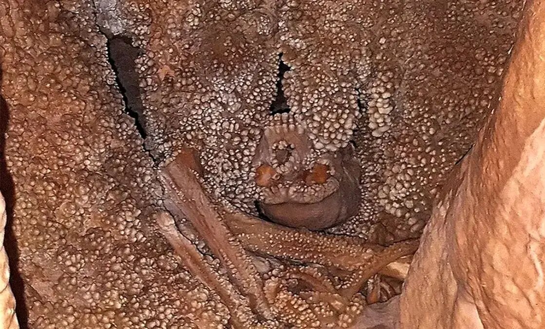 این مرد ۱۲۸ هزار سال قبل در یک غار گرفتار شد | عکس