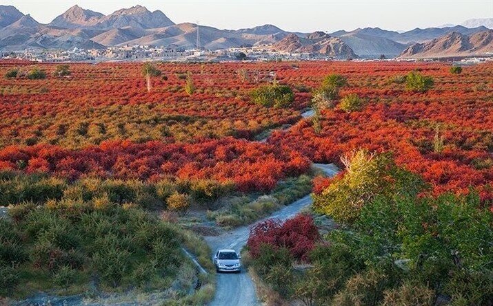 ۱۲ روستای ایران در مسیر جهانی شدن + جزئیات
