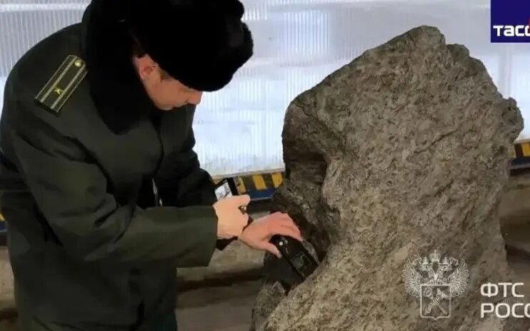 سنگ باغچه در واقع یک شهاب‌سنگ ۴ میلیارد ساله بود | عکس