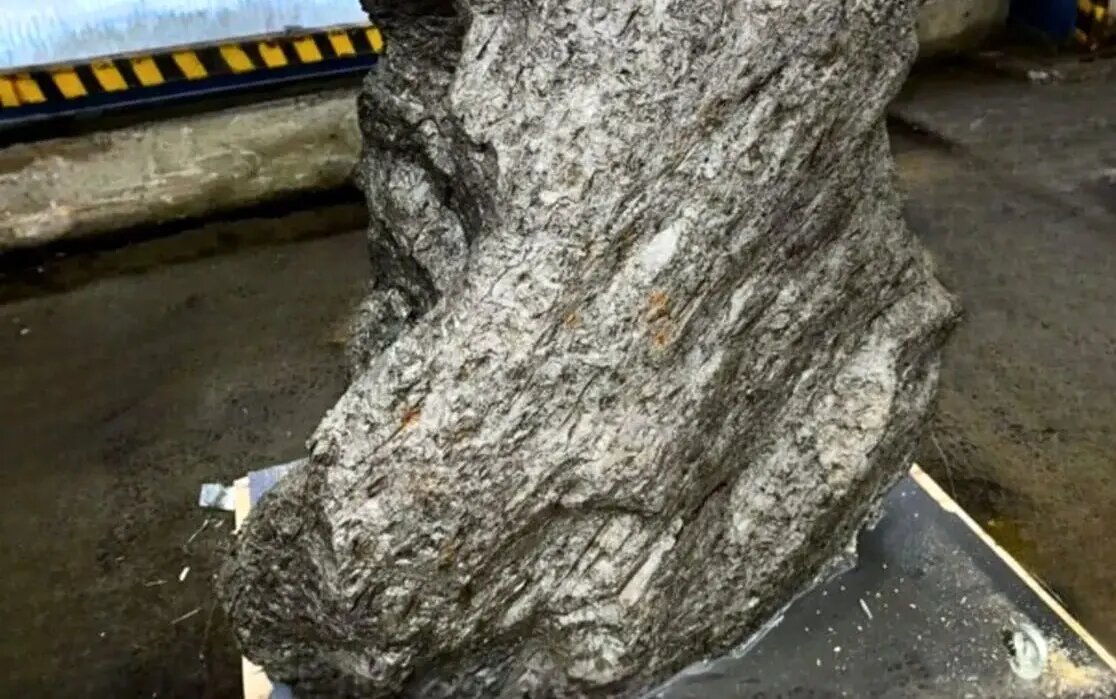 سنگ باغچه در واقع یک شهاب‌سنگ ۴ میلیارد ساله بود | عکس