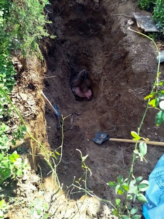 شوهرکشی زن خائن بعد از ۴ سال لو رفت | کشف بقیای جسد در یک باغ + عکس