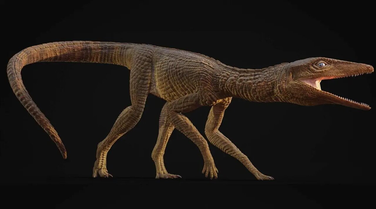 تمساح ماقبل تاریخی که شبیه سگ شکاری بوده است تمساح ماقبل تاریخی که شبیه سگ شکاری بوده است