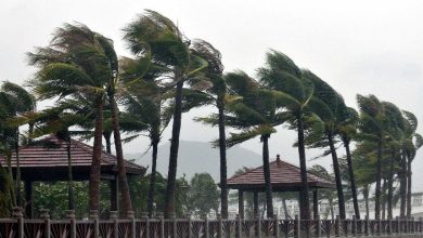 الگوهای بادی ایران در چنگال گرمایش جهانی | دلیل تقویت بادهای ۱۲۰ روزه سیستان چیست؟