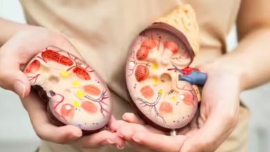 این مواد غذایی باعث تشکیل سنگ کلیه می‌شوند