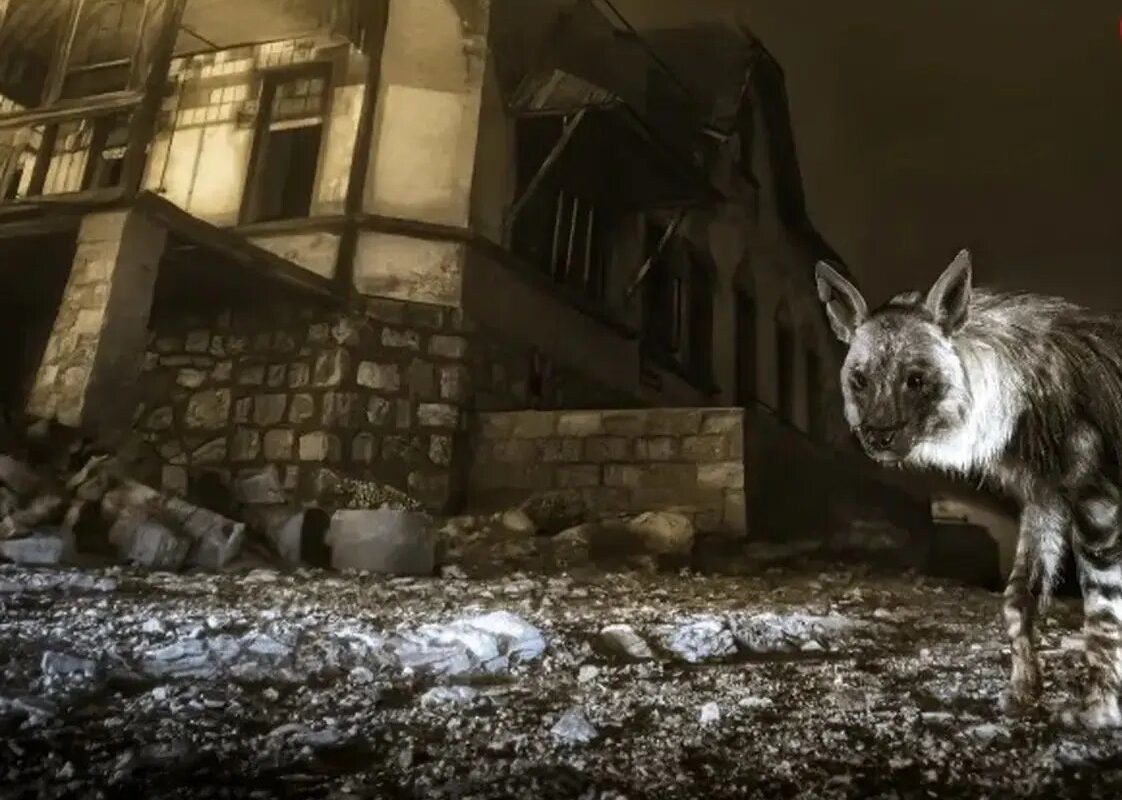 بازدیدکننده شهر ارواح؛ عکسی وهم‌انگیز که پس از ۱۰ سال انتظار گرفته شد | عکس