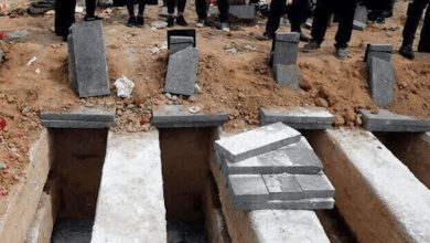 تعداد جنازه ورودی در حوادث و آشوب های اخیر به بهشت زهرا + ویدئو | آمار دقیق اعلام شد