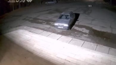 حمله گرگ به یک دانشجو در دانشگاه زنجان | ببینید