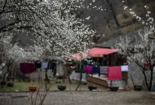 سرما و یخبندان در راه است؟ | یک اقلیم شناس: رسانه ها جنجال می کنند | دلیل گرمای زمستانه چیست؟ سرما و یخبندان در راه است؟ | یک اقلیم شناس: رسانه ها جنجال می کنند | دلیل گرمای زمستانه چیست؟