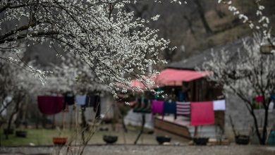 سرما و یخبندان در راه است؟ | یک اقلیم شناس: رسانه ها جنجال می کنند | دلیل گرمای زمستانه چیست؟ سرما و یخبندان در راه است؟ | یک اقلیم شناس: رسانه ها جنجال می کنند | دلیل گرمای زمستانه چیست؟