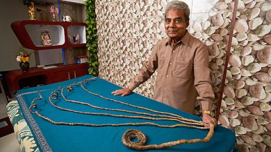 صاحب رکورد بلندترین ناخن‌های یک دست در جهان را ببینید + ویدئو