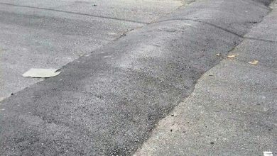 پرواز هولناک اتوبوس‌ها و خودروها در شیراز + ویدئو | واکنش شهردار