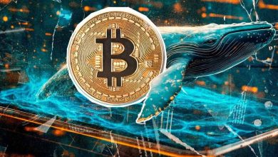 چرا بازار رمزارز برای سرمایه‌گذاران ایرانی پرریسک‌تر است؟ | سقوط ۵۰ درصدی بیت‌کوین در ۴ ماه