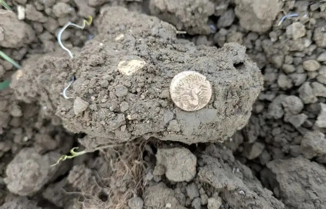 کشف سکه‌های طلای ۲ هزار ساله در یک مزرعه | عکس