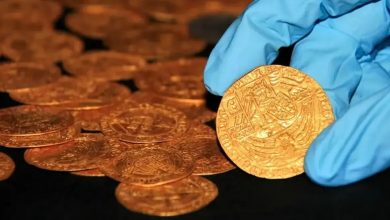 کشف گنج سکّه‌های ۵۰۰ ساله از باغچۀ حیاط پشتی | عکس