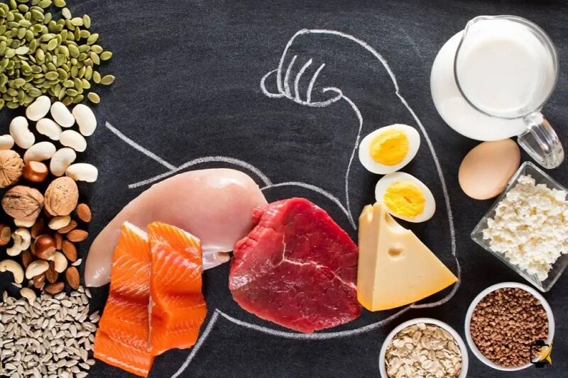 با رژیم پرپروتئین این ۶ اتفاق در بدن‌تان می‌افتد