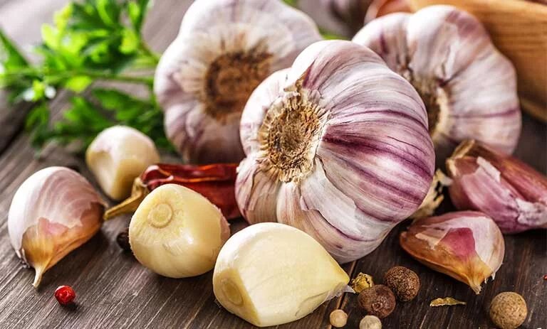 سیر را اشتباه نگهداری نکن؛ این روشها ماندگاری و خواصش را چند برابر میکنند سیر را اشتباه نگهداری نکن؛ این روشها ماندگاری و خواصش را چند برابر میکنند