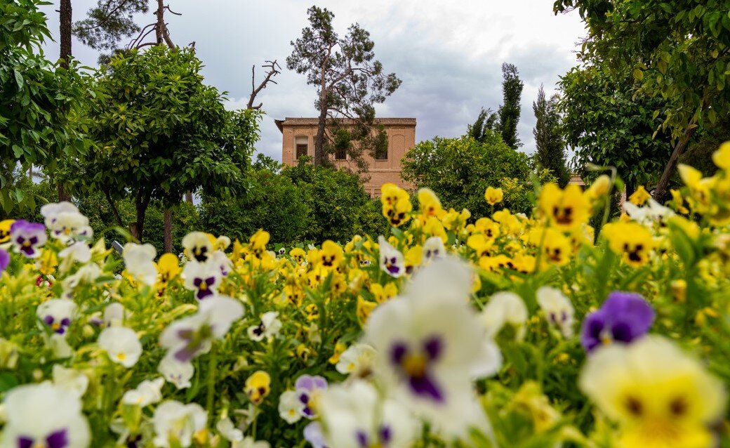 منظره زیبای شیراز در دوران قاجار؛ ۱۲۵ سال قبل + عکس