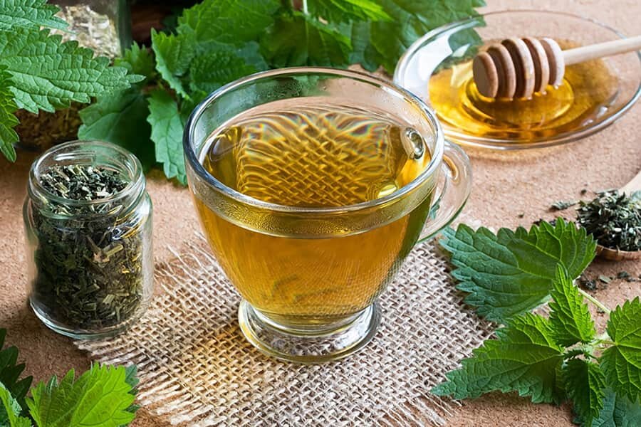 اگر با درمانهای معمول سنگ کلیه دفع نشد، پای این دمنوشها را وسط بکشید اگر با درمانهای معمول سنگ کلیه دفع نشد، پای این دمنوشها را وسط بکشید