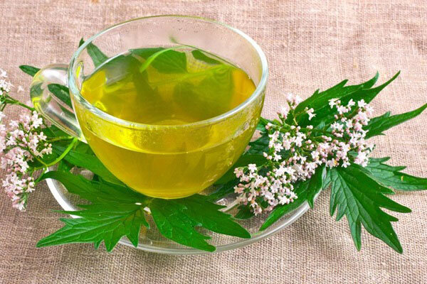 اگر بی‌قرارید، دلشوره دارید و خوابتان نمی‌رود، این دمنوش‌ها را بخورید