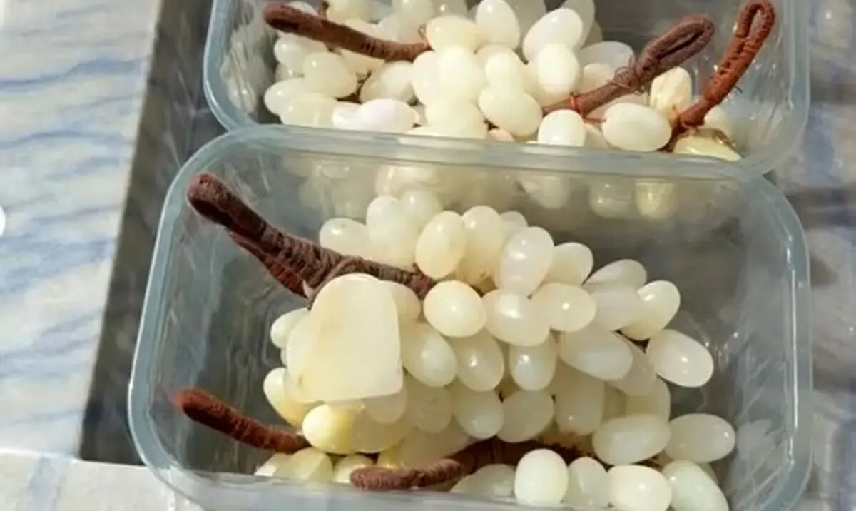 سوپرمارکتی پر از اجناس سنگی؛ از گوشت تا تخم مرغ | عکس