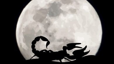 قمر در عقرب