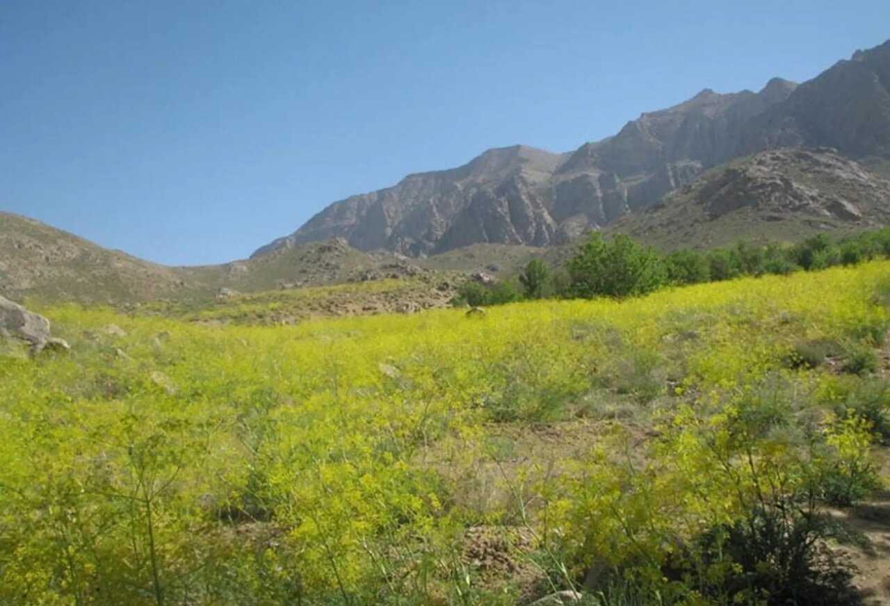 خنک ترین روستای یزد کجاست؟؛ ۹ جای خنک‌ و دیدنی یزد برای سفرهای تابستانی + آدرس
