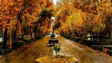 خیابان چهارباغ اصفهان در زمان قاجار را ببینید + عکس خیابان چهارباغ اصفهان در زمان قاجار را ببینید + عکس
