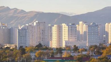 شمال شهر تهران در سال ۱۳۱۶ را ببینید؛ عکس رنگی‌شده
