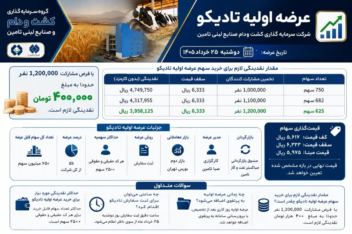 عرضه اولیه تادیکو چقدر نقدینگی می خواهد؟ + حداقل نقدینگی لازم