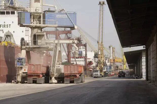 هشدار فعالان امنیت غذایی درباره اختلال در زنجیره تأمین | واردکنندگان چقدر از دولت طلب دارند؟