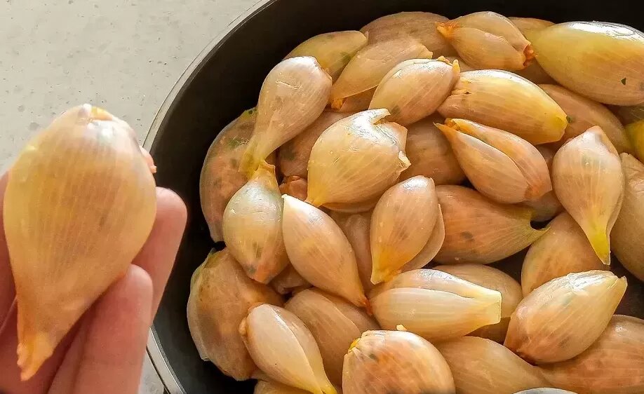 دلمه پیاز مجلسی؛ این دستور پخت طعمش از همه دلمه‌ها خاص‌تر است