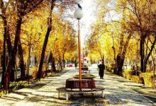 خیابان «چهارباغ» اصفهان در دوران قاجار؛ سال ۱۲۸۰ + عکس