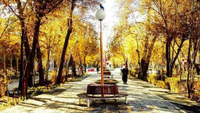 خیابان «چهارباغ» اصفهان در دوران قاجار؛ سال ۱۲۸۰ + عکس