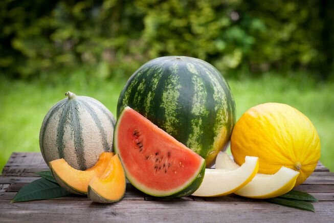 هندوانه یا طالبی؛ کدام‌ برای قند خون بهتر است؟