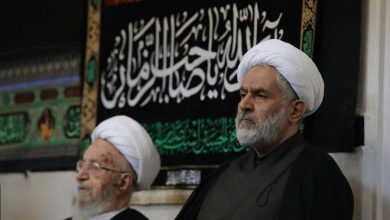 سفر حجت‌الاسلام حسین طائب به قم | تصاویر