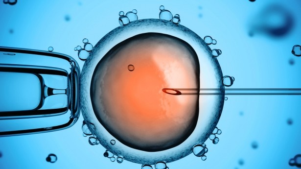 کمبود این ویتامین شانس موفقیت IVF را کم میکند؟ کمبود این ویتامین شانس موفقیت IVF را کم میکند؟